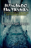 Buscando fantasmas 8461781546 Book Cover