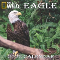 EAGLE CALENDAR 2022: EAGLE calendar 2022 "8.5x8.5" Inch 16 Months JAN 2022 TO APR 2023 finished and Glossy B093WCYL4V Book Cover