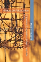 O Simbólico, O Imaginário e O Real - Uma Visão Cristã: Pílulas de Psicanálise (Portuguese Edition) B0F4DYTMTX Book Cover