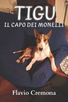 TIGU: Il Capo Dei Monelli (Italian Edition) B0GS7DHCG8 Book Cover