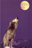 Far Rider 1304404390 Book Cover