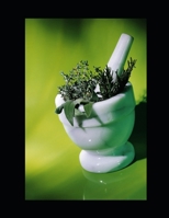 L'Art de Guérir avec Hymenocardia Acida : Recettes et Remèdes Ancestraux.: Les Secrets Naturels d’une Plante Riche en Vertus Médicinales (French Edition) B0GTHHGXTP Book Cover