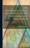 Die Polydimensionalen Grössen und die Vollkommenen Primzahlen 102199247X Book Cover