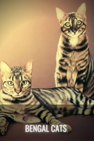 BENGAL CATS: Bengal Cat Owners Manual. Guide to owning a happy Bengal cat. B095GJ5PM2 Book Cover