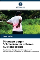 Übungen gegen Schmerzen im unteren Rückenbereich 6203237205 Book Cover