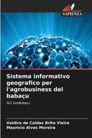 Sistema informativo geografico per l'agrobusiness del babaçu (Italian Edition) 6200743088 Book Cover