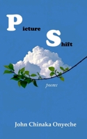 Picture Shift: PS B0F47ZQJP3 Book Cover