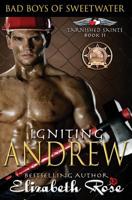 Igniting Andrew 1533501173 Book Cover