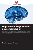 Dépression, cognition et neuromodulation 6206873374 Book Cover