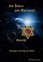 Ein Stern am Horizont: David 3741242829 Book Cover