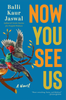 Now You See Us: A Novel 0063161613 Book Cover
