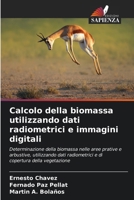 Calcolo della biomassa utilizzando dati radiometrici e immagini digitali 6207392728 Book Cover