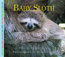 Baby Sloth (Nature Babies) 1550418270 Book Cover