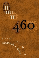 Route 460: Poems B0GGHJQT8C Book Cover