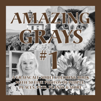 Amazing Grays #1: A Grayscale Adult Coloring Book with 50 Fine Photos of People, Places, Pets, Plants & More (Standard Edition) 1620355949 Book Cover