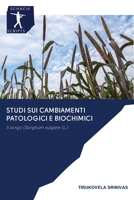 Studi sui cambiamenti patologici e biochimici 6200959064 Book Cover