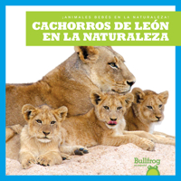 Cachorros de león en la naturaleza (Lion Cubs in the Wild) (Bullfrog Books: Spanish Edition: (¡Animales bebés en la naturaleza! B0BGN63DVM Book Cover