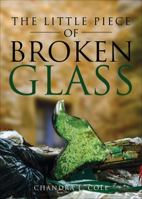 The Little Piece of Broken Glass 162854368X Book Cover