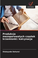 Produkcja mezoporowatych czastek krzemionki: kalcynacja (Polish Edition) 6207480910 Book Cover