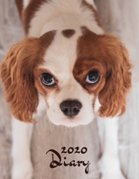 Diary 2020: Dog Lovers Diary: Week to View Organiser: Pocket Paperback Style 1676644857 Book Cover