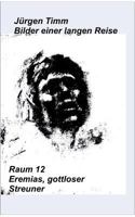 Raum 12 Eremias, gottloser Streuner 3740747218 Book Cover