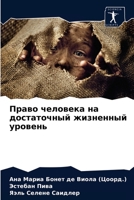 Право человека на достаточный жизненный уровень 6203664030 Book Cover