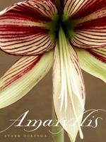 Amaryllis 0609608819 Book Cover