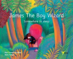 James The Boy Wizard: Somewhere to sleep 841251078X Book Cover