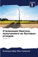 Утилизация биогаза, полу 6207255305 Book Cover