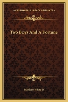 Two Boys and a Fortune; or, the Tyler Will 1149035781 Book Cover