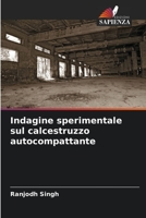 Indagine sperimentale sul calcestruzzo autocompattante 6205687135 Book Cover