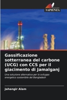 Gassificazione sotterranea del carbone (UCG) con CCS per il giacimento di Jamalganj (Italian Edition) 6206676188 Book Cover