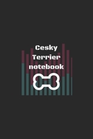 retro cesky terrier Notebook - Gift for Dog Lovers and Dog Owners diary / journal / notepad /: 6X9 100 pages 1676092781 Book Cover