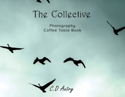 The Collective: Photography Coffee Table Book 1990078834 Book Cover