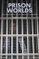 Prison Worlds: An Ethnography of the Carceral Condition 1509507558 Book Cover