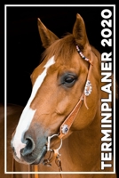 Terminplaner 2020: Jahresplaner von September 2019 bis Dezember 2020 mit Pferd - Planer mit 174 Seiten in wei� im Format A5 mit gl�nzendem Soft Cover. 1704012295 Book Cover