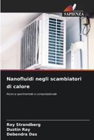 Nanofluidi negli scambiatori di calore (Italian Edition) 6208121159 Book Cover