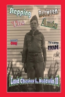 Stepping Between The Ants: The Winter Escape B09PB5S78D Book Cover