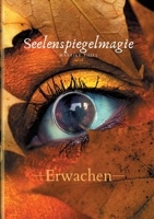 Seelenspiegelmagie: Erwachen 3347332539 Book Cover