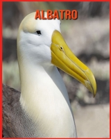 Albatro: Libro per bambini Fatti sorprendenti e immagini sui Albatro B08WS9G1F8 Book Cover