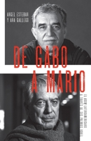 De Gabo a Mario: Una breve historia del boom latinoamericano 030774339X Book Cover