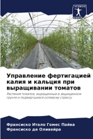?????????? ??????????? ????? ? ??????? ?? 6207706676 Book Cover