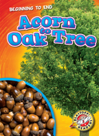 Acorn to Oak Tree 1648342434 Book Cover