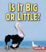 Is It Big Or Little (First Step Nonfiction) 0822554062 Book Cover
