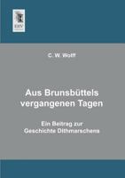 Aus Brunsbüttels vergangenen Tagen 3954541203 Book Cover