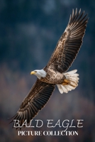 Bald Eagle Photo Collection: Beautiful Full-Page Pictures of Bald Eagles and Eaglets for All Ages (Simple Photo Books). B0GG6C1FWG Book Cover