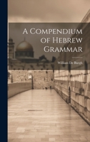 A Compendium of Hebrew Grammar 1022187570 Book Cover