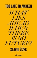 Too Late to Awaken: What Lies Ahead When There is no Future? 1644214199 Book Cover