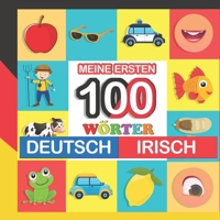 meine ersten 100 wörter deutsch-irisch: irisch lernen für Kinder von 2 - 7 Jahren B09KNCZR72 Book Cover