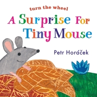 A Surprise for Tiny Mouse 0763679674 Book Cover